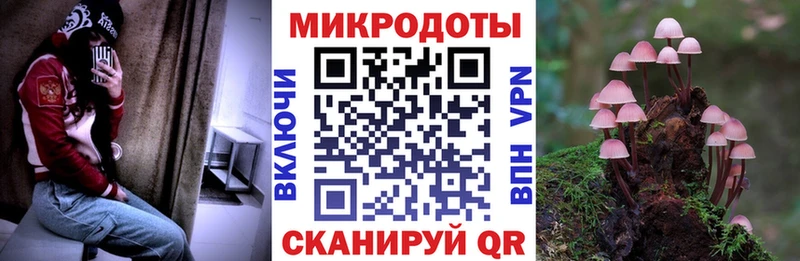 Галлюциногенные грибы Psilocybe  Купить где  Воркута 